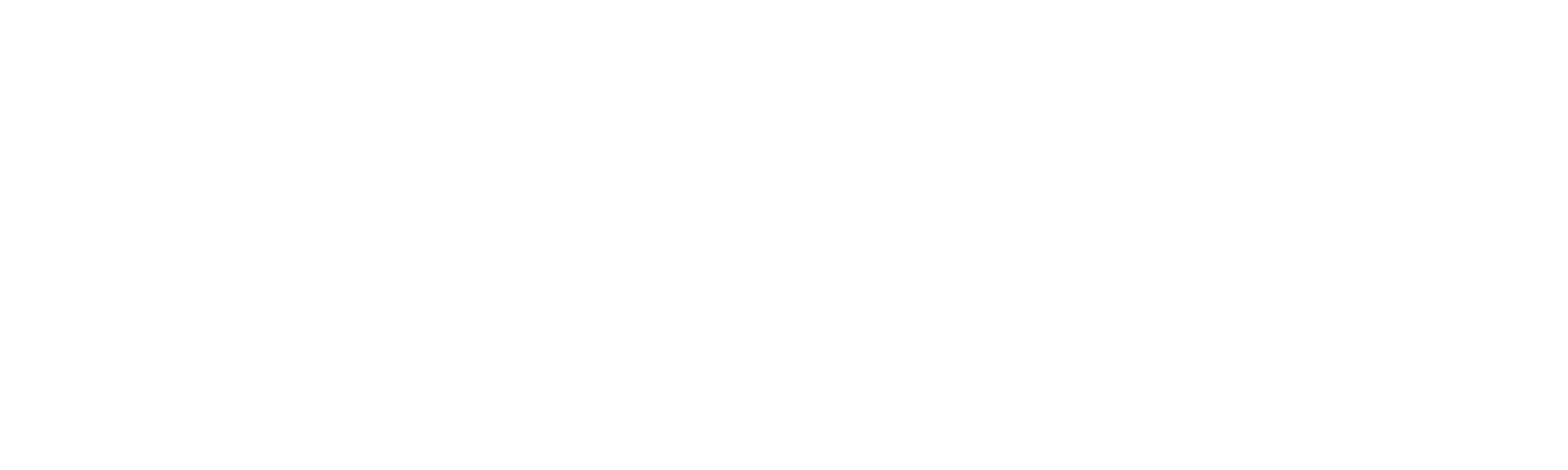Click Wise Design Logo