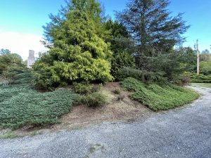 Landscaping in Nicholasville, KY