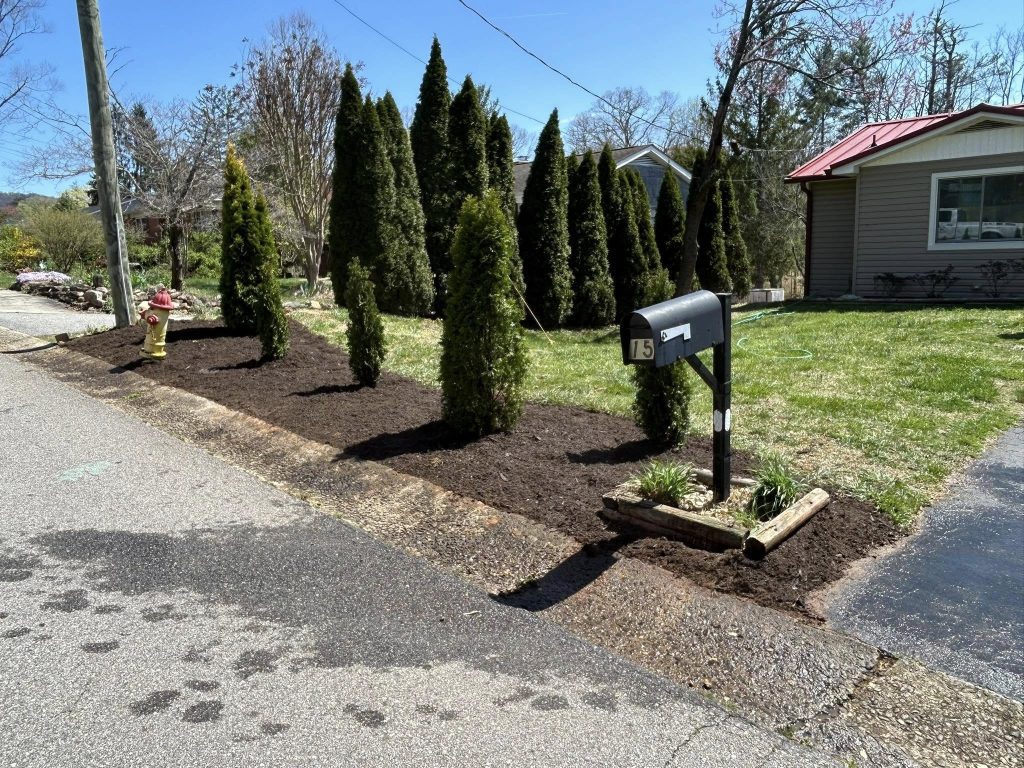 Landscaping in Nicholasville, KY Landscaping in Nicholasville, KY