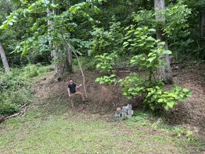 Landscaping in Nicholasville, KY